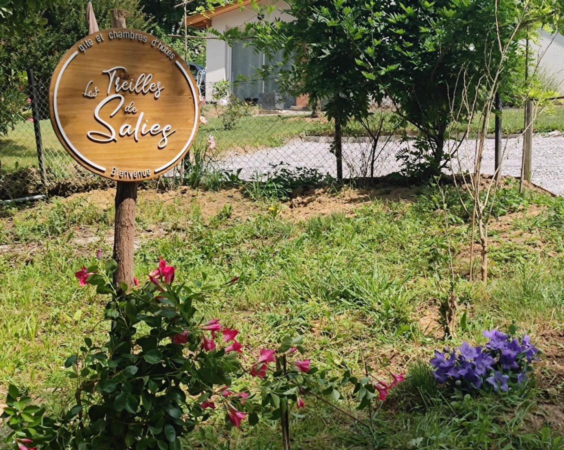 Les Treilles De Salies - Spa Et Sauna Interieur エクステリア 写真